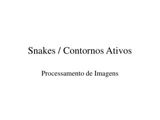 Snakes / Contornos Ativos
