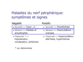 La fibre nerveuse , dégénérescence axonale (altération structurale de l ’ axone)