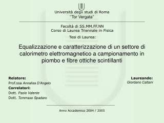 Relatore: Prof.ssa Annalisa D’Angelo Correlatori: Dott. Paolo Valente Dott. Tommaso Spadaro