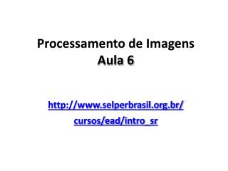 Processamento de Imagens Aula 6 selperbrasil.br/ cursos/ ead / intro_sr