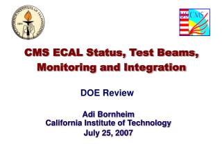 CMS ECAL Status, Test Beams, Monitoring and Integration