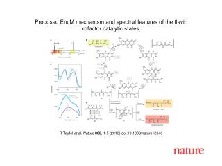 R Teufel et al. Nature 000 , 1 - 5 (2013) doi:10.1038/nature12643