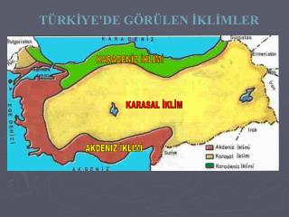 KARADENİZ İKLİMİ