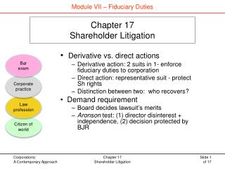 Chapter 17 Shareholder Litigation