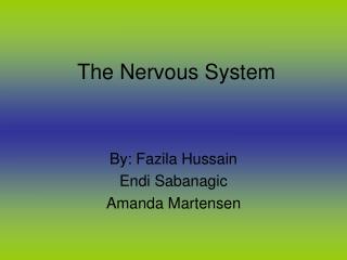 The Nervous System