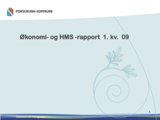 Økonomi- og HMS -rapport 1. kv. 09