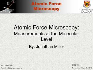 Atomic Force Microscopy: Measurements at the Molecular Level