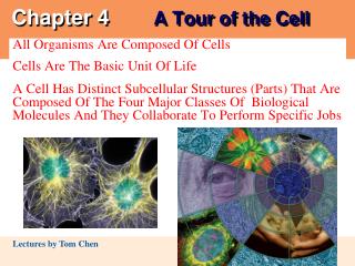 Chapter 4		 A Tour of the Cell