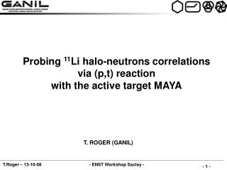 Probing 11 Li halo-neutrons correlations via (p,t) reaction with the active target MAYA