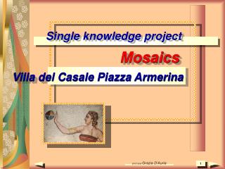 Single knowledge project