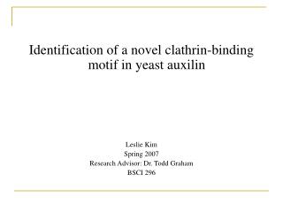 Identification of a novel clathrin-binding motif in yeast auxilin Leslie Kim Spring 2007