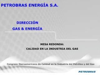 PETROBRAS ENERGÍA S.A.