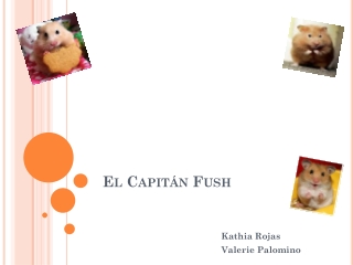 El Capitan Fush