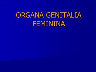 ORGANA GENITALIA FEMININA