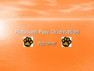 Platinum Paw Orientation