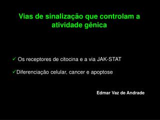 Os receptores de citocina e a via JAK-STAT Diferenciação celular, cancer e apoptose