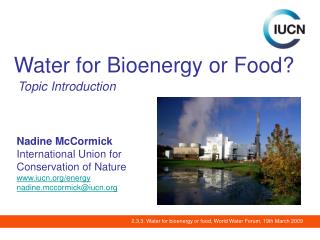 Water for Bioenergy or Food?
