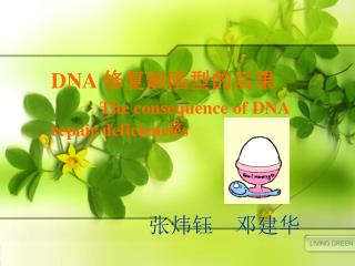 DNA 修复缺陷型的后果 The consequence of DNA repair deficiencies