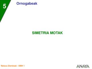 • Simetria aldebikoa edo erradiala izan daiteke.