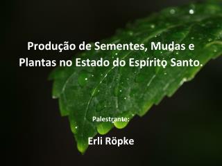 Produção de Sementes, Mudas e Plantas no Estado do Espírito Santo. Palestrante: Erli Röpke