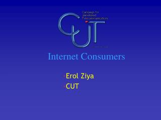 Internet Consumers