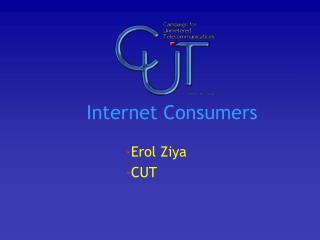 Internet Consumers