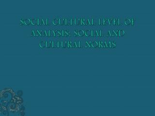 SOCIAL CULTURAL LEVEL OF ANALYSIS: SOCIAL AND CULTURAL NORMS