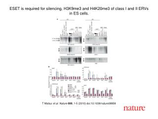 T Matsui et al. Nature 000 , 1-5 (2010) doi:10.1038/nature08858