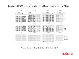 T Matsui et al. Nature 000 , 1-5 (2010) doi:10.1038/nature08858