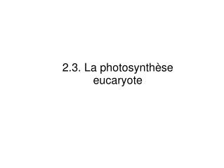 2.3. La photosynthèse eucaryote