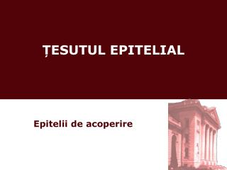 ȚESUTUL EPITELIAL