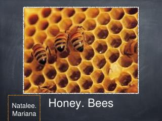 Honey. Bees