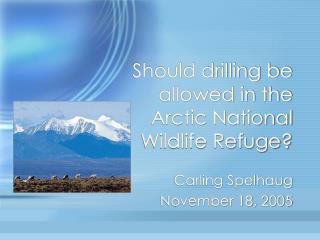 Should drilling be allowed in the Arctic National Wildlife Refuge?