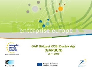 European Commission Enterprise and Industry