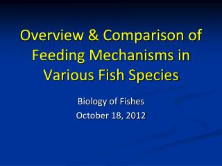 Overview &amp; Comparison of Feeding Mechanisms in Various Fish Species