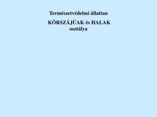 Természetvédelmi állattan KÖRSZÁJÚAK és HALAK osztálya