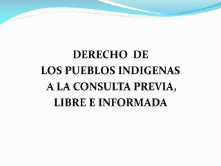 DERECHO DE LOS PUEBLOS INDIGENAS A LA CONSULTA PREVIA, LIBRE E INFORMADA