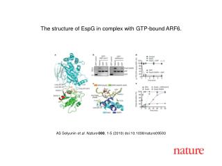 AS Selyunin et al. Nature 000 , 1 - 5 (2010) doi:10.1038/nature0 9593