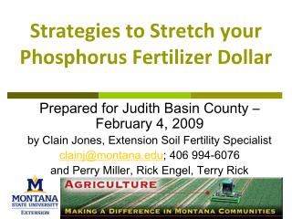 Strategies to Stretch your Phosphorus Fertilizer Dollar