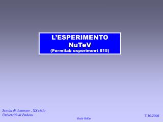 L’ESPERIMENTO NuTeV (Fermilab experiment 815)