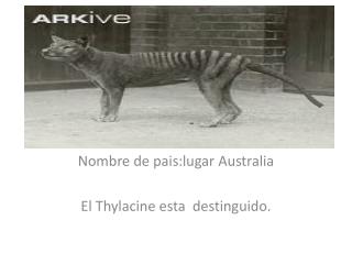 Nombre de pais:lugar Australia El Thylacine esta destinguido .
