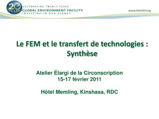 Le FEM et le transfert de technologies : Synthèse