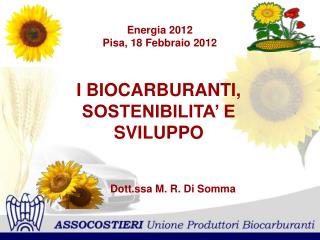 Energia 2012 Pisa, 18 Febbraio 2012