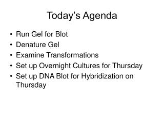 Today’s Agenda