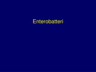 Enterobatteri