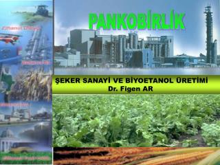 ŞEKER SANAYİ VE BİYOETANOL ÜRETİMİ 		 Dr. Figen AR