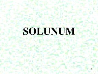 SOLUNUM