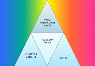 VAHŞİ HAYVANLARIN HAYATI