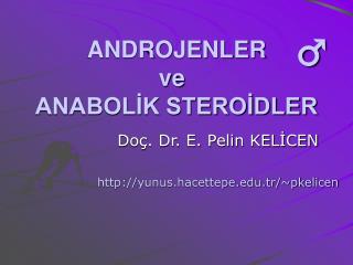 ANDROJENLER ve	 ANABOLİK STEROİDLER