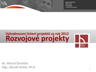 Vyhodnocení řešení projektů za rok 2012 Rozvojové projekty